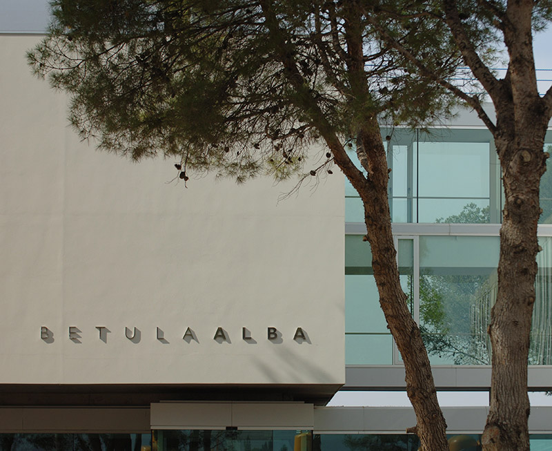 Betula Alba. Centre Residencial Almacelles.