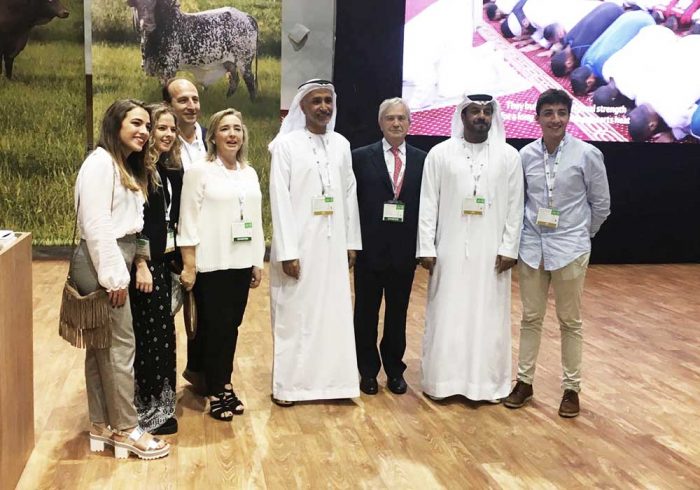 DUBAI. Grupo Venso. 2016