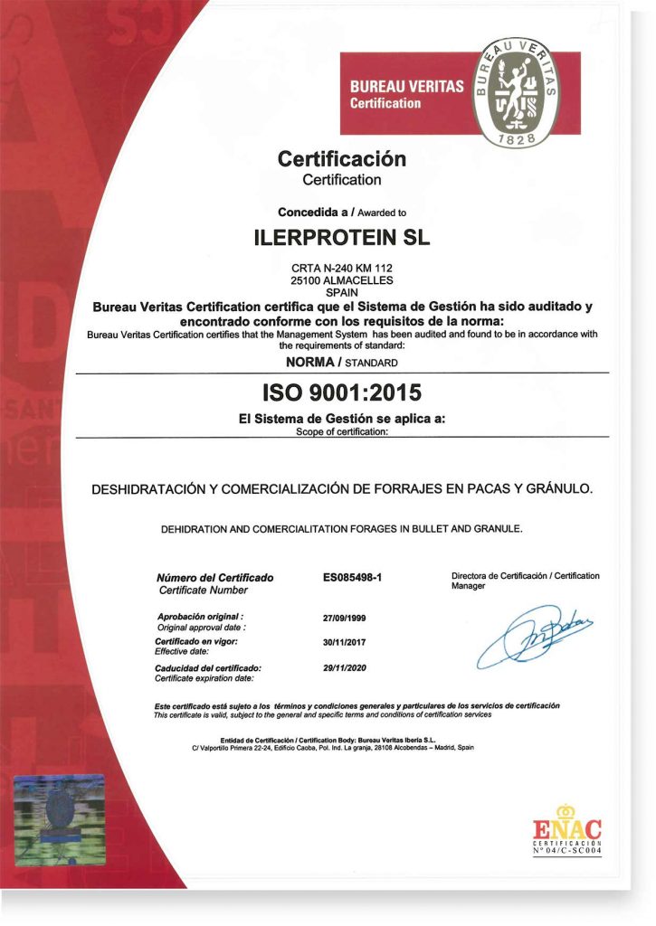 Certificado_ISO. ISO-Certificate. Grupo Venso. Ilerprotein.