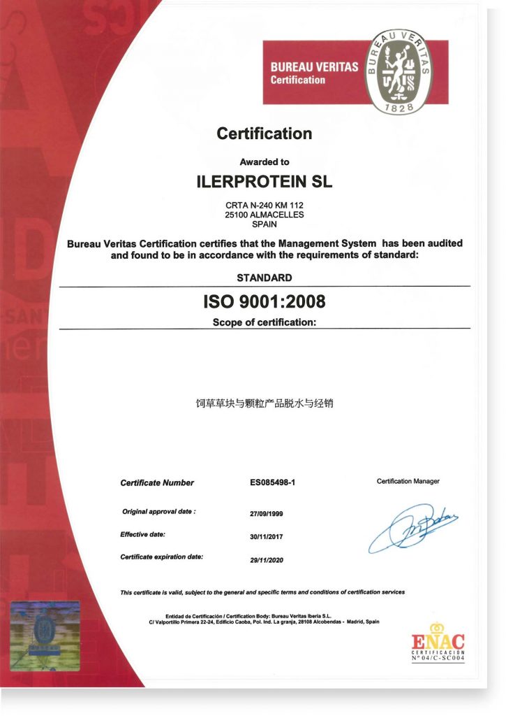 Certificado_ISO. ISO-Certificate. Grupo Venso. Ilerprotein.