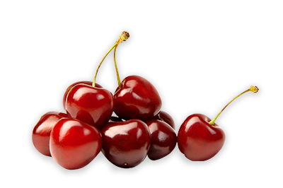 Cherries. Grupo Venso. Agroven International.