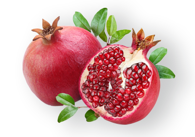 Pomegranate. Grupo Venso. Agroven International.
