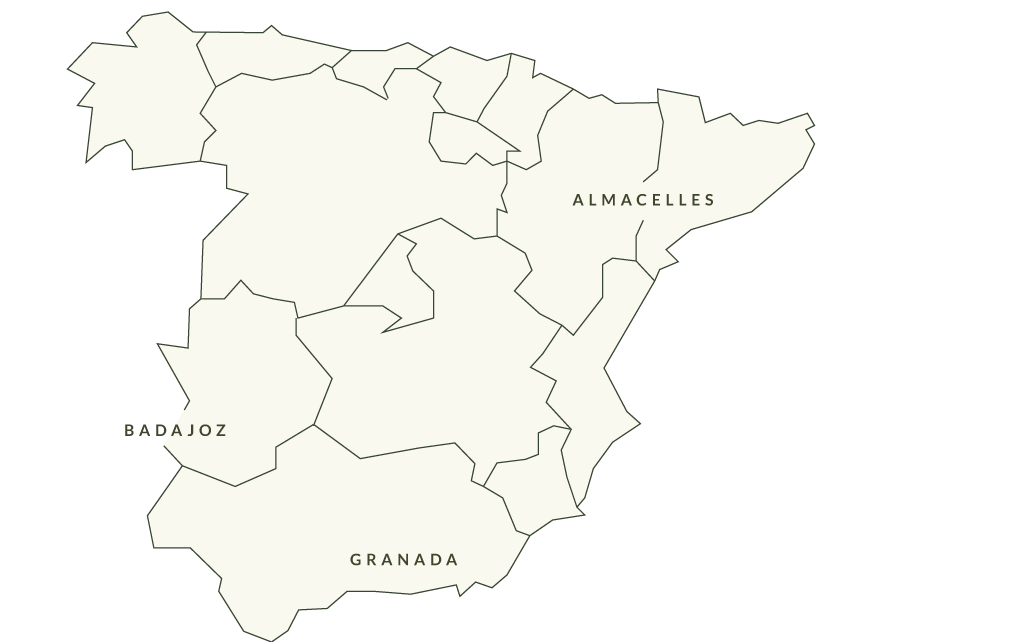 Spain Map. Grupo Venso.